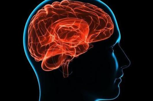 哪些疾病會引起腦供血不足?腦供血不足怎么調理?