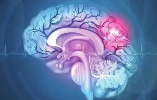 哪些疾病會引起腦供血不足?腦供血不足怎么調理?