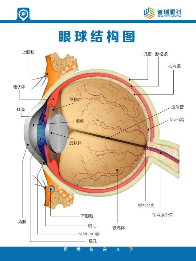 劉紅山教授話題專訪:關注眼健康遠離角膜病