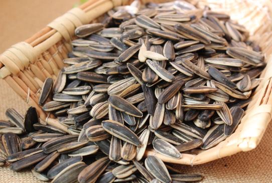 吃瓜子嘴麻是什么原因?為什么嗑瓜子會(huì)舌頭麻?