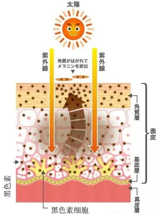 天津聯合麗格高盛川院長美白有妙招