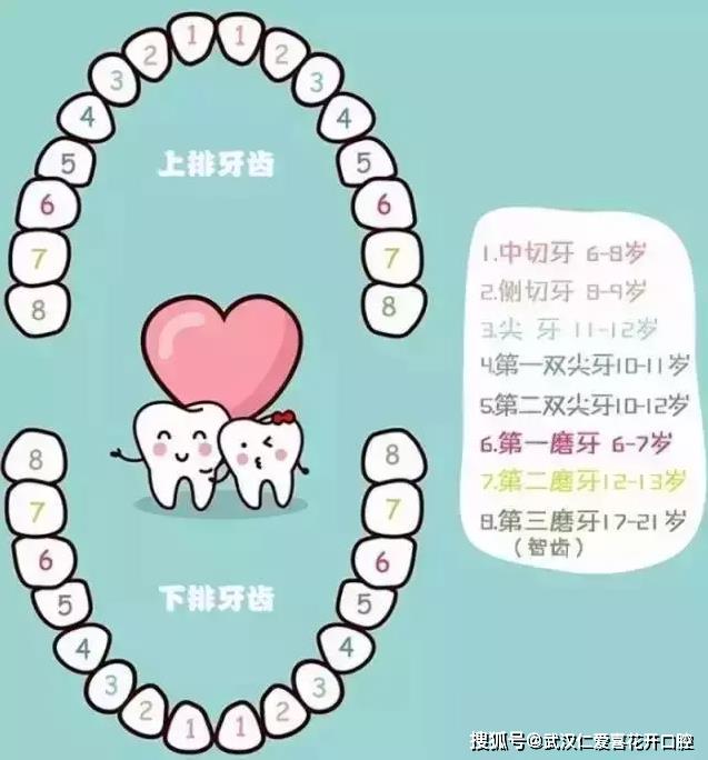 武漢仁愛口腔醫生告訴你寶寶替牙期千萬別吃軟食
