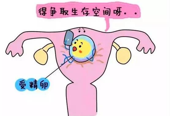 武漢仁愛婦產醫院:哇哦!不孕不育的隱藏殺手你知道是啥嗎?點進來看看