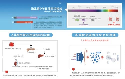 得了骨質(zhì)疏松,99%的人只知道補(bǔ)鈣