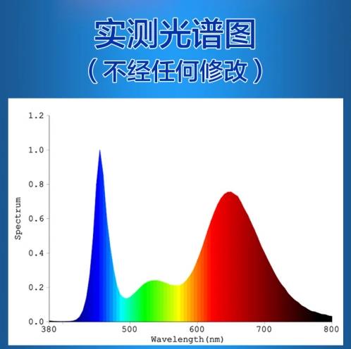 得了骨質(zhì)疏松,99%的人只知道補(bǔ)鈣