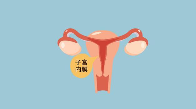 武漢仁愛醫院婦產科醫生解析:刮宮之后子宮內膜還會再長嗎?