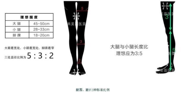 吸脂醫(yī)生關幾夢:吸脂瘦腿可以解決肥胖腿型嗎?