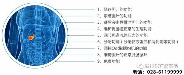 還在猶豫“切膽”還是“保膽”?四川結石病醫院告訴你答案!