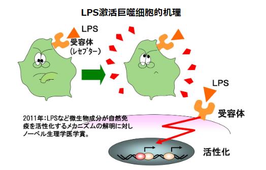 LPS的秘密 | Dr.LPS元気UP粉末顆粒劑