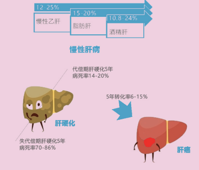 開創肝硬化院外檢測的先河 甘先知保護好你的小心“肝” image.png