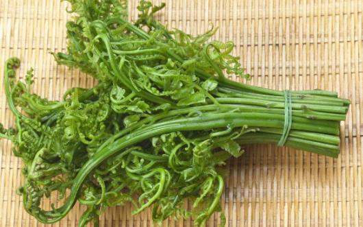野菜真的比普通蔬菜更有營養嗎 吃蕨菜會致癌是真的嗎