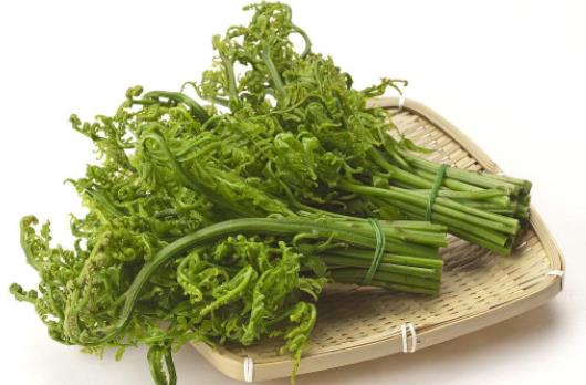 野菜真的比普通蔬菜更有營養嗎 吃蕨菜會致癌是真的嗎
