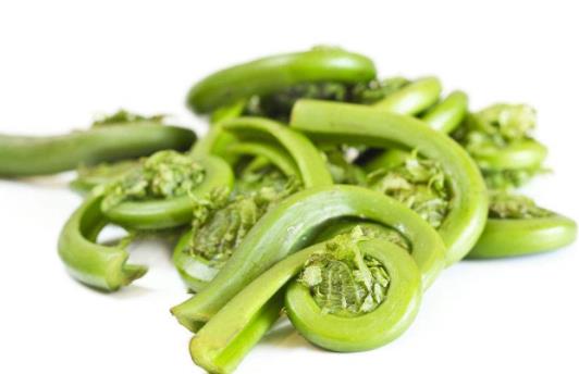 野菜真的比普通蔬菜更有營養嗎 吃蕨菜會致癌是真的嗎