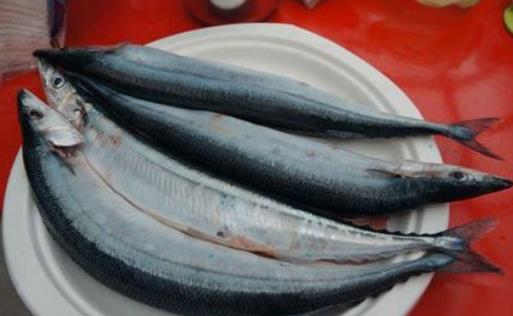 多吃海魚有助心血管健康 每周堅持吃3—4次海魚