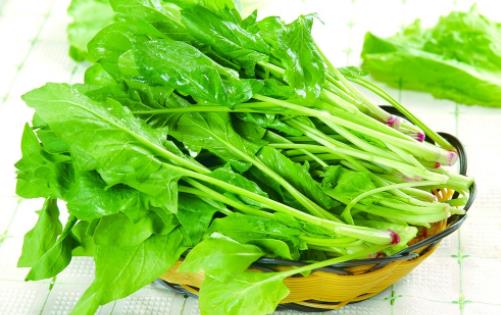 什么疾病會(huì)導(dǎo)致經(jīng)常流鼻血 天氣干燥流鼻血怎么辦