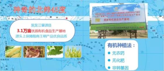 殷商王朝食療YSDT 發布會盛大開啟
