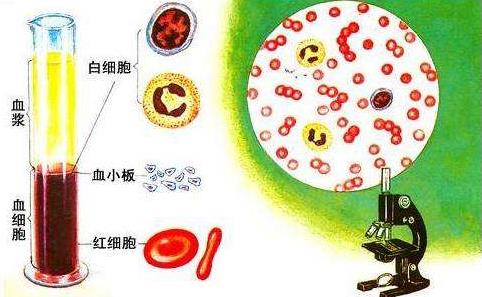 北京國康醫院能治血小板減少性紫癜嗎 海文琪中醫并舉告別激素藥