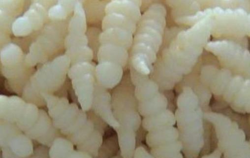 寧夏著名特產(chǎn)排行榜 寧夏枸杞全國著名