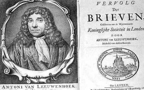 第一位看見微生物的人 由雷文霍克在1675年偶然發現
