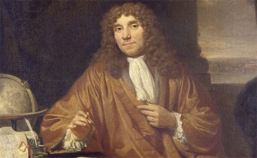 第一位看見微生物的人 由雷文霍克在1675年偶然發現