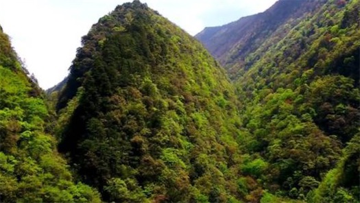 重慶市的最高點(diǎn) 陰條嶺海拔2886米