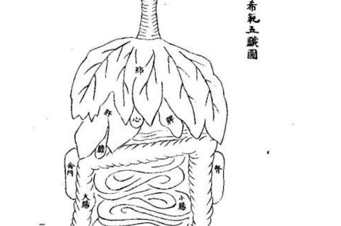 最早的人體解剖學圖譜 北宋慶歷間的《歐希范五臟圖》