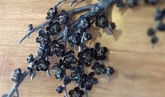 中國獨有的畫種 清朝康熙年間鐵匠湯鵬發明的鐵畫