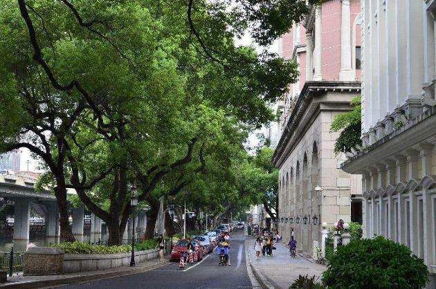 中國(guó)最能建地鐵的城市 廣州去年連建81公里,今年又打算建造13條地鐵