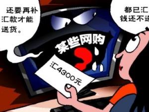 ?網購需謹慎：央視揭四大新型網絡詐騙手段