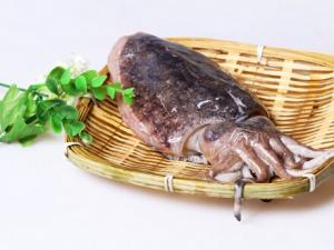 哺乳期吃墨魚有什么好處？吃墨魚的做法