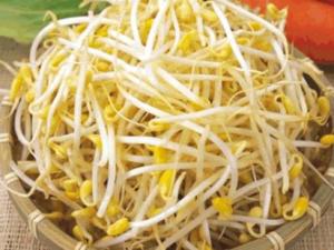 哺乳期吃黃豆芽有什么好處？哺乳期吃黃豆芽的做法
