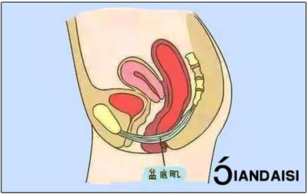 產(chǎn)后縮陰怎么做?8個(gè)建議