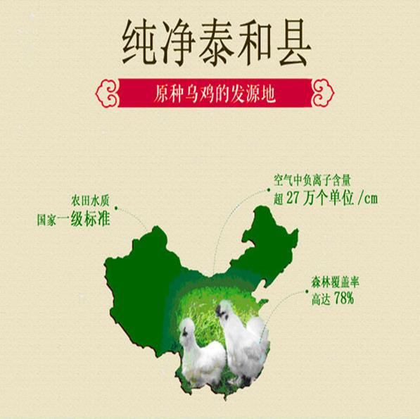 震驚!小金旦選用的泰和烏雞蛋還不如普通雞蛋好?只是一個噱頭?