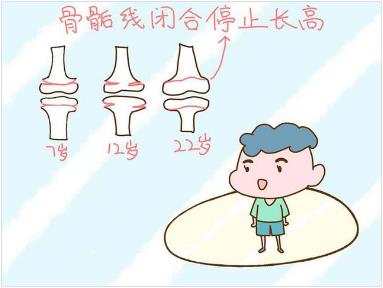 澳洲兒童營養師小鹿邦邦,給孩子最完美的身高