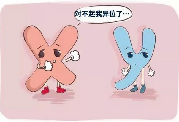 為什么你的卵子不成熟??jī)?yōu)貝貝生殖中心專家揭密原因