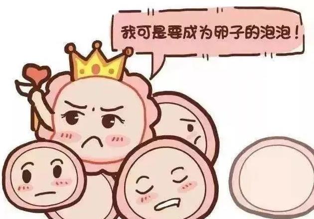 為什么你的卵子不成熟??jī)?yōu)貝貝生殖中心專家揭密原因
