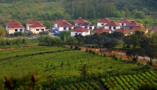 農村宅基地轉讓使用權需要哪些條件?2021年農村宅基地有哪些政策?