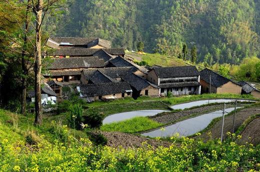 2021年村兩委干部親屬回避范圍具體是哪些?參選村干部需要什么條件