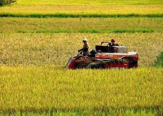 承包100畝土地國家有補貼嗎?耕地力補貼是哪年執行的標準?
