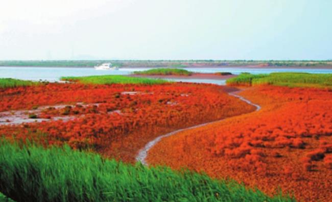 “2019華僑城文化旅游節”華僑城北方集團攜七大景區唱響“歡樂在一起”