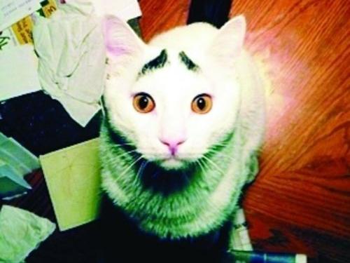 ü؈ɽķWjt؈üĘuȇ