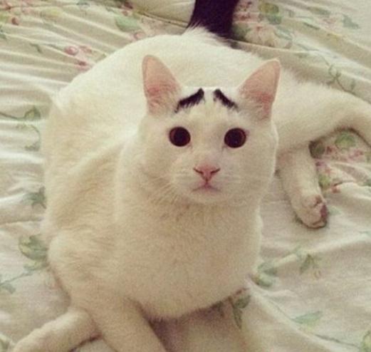 ü؈ɽķW(wng)j(lu)t(x)(sh)؈üĘuȇ