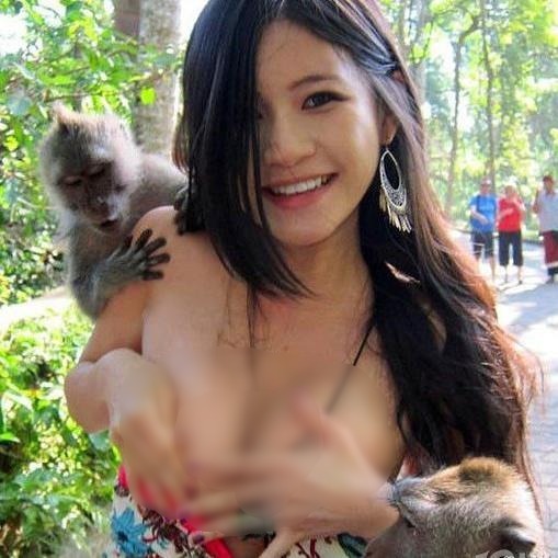 猴子也好色,印尼里島上有一位臺灣美女游客遭到了當地猴子的非禮,這只好色猴子竟然扯下臺灣女游客的胸部衣衫,真是大膽!