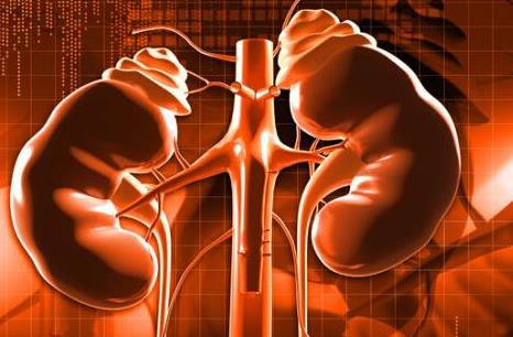 慢性腎功能不全是什么?慢性腎功能不全的原因
