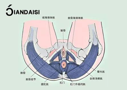 縮陰產(chǎn)品有沒(méi)有副作用?有沒(méi)有依賴性?
