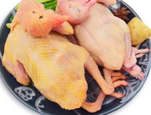 女生補身體要用對方法不然白補 推薦3種補身體的食物
