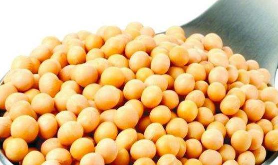 經(jīng)期是女性豐胸的最佳時(shí)期 推薦6種經(jīng)期豐胸食物