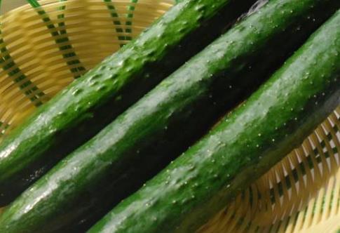 女性朋友們吃枸杞子不僅可以滋補身體 推薦兩款枸杞子相關(guān)食譜