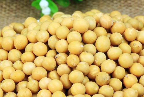豆類含有豐富的優質蛋白和多種維生素 夏季女性最適合吃這6種豆