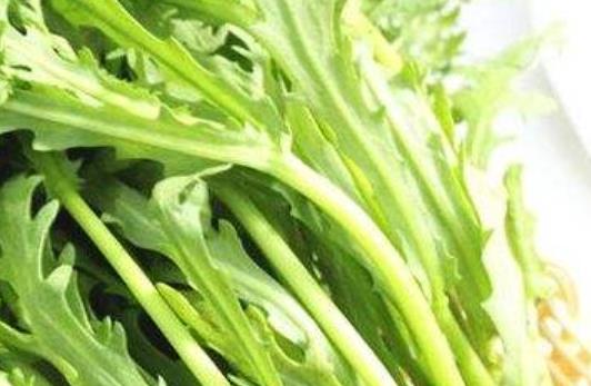 夏季食物品種多 盛夏要吃這6種當家菜